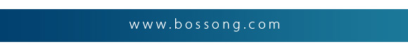 visita il nostro sito www.bossong.com