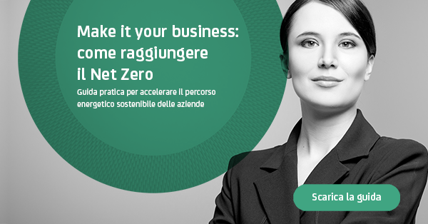 Make it your business: come raggiungere il Net Zero